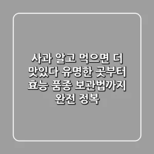 사과 알고 먹으면 더 맛있다 유명한 곳부터 효능 품종 보관법까지 완전 정복
