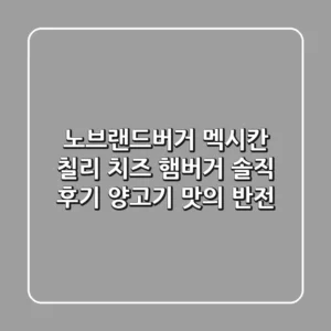 노브랜드버거 멕시칸 칠리 치즈 햄버거 솔직 후기 양고기 맛의 반전