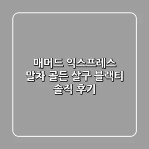매머드 익스프레스 말차 골든 살구 블랙티 솔직 후기