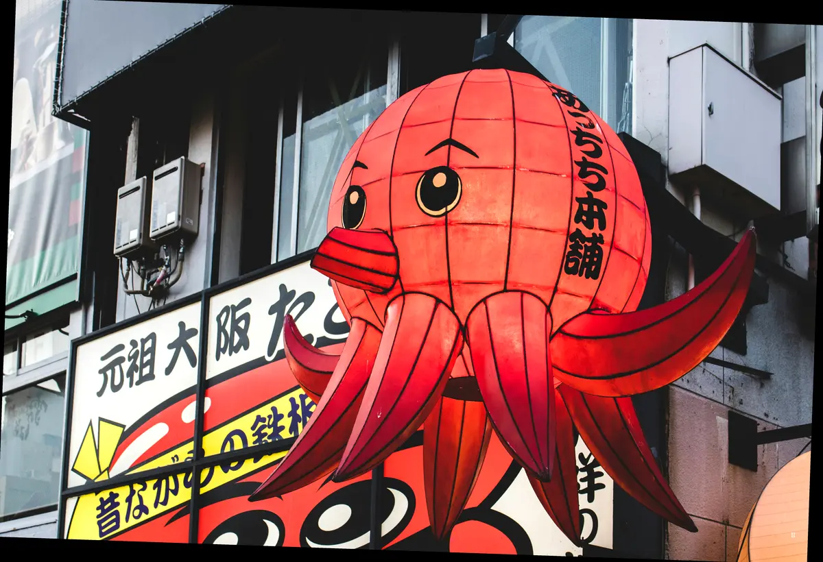 메뉴 파헤치기! 쭈꾸미볶음부터 볶음밥, 간재미 무침까지!