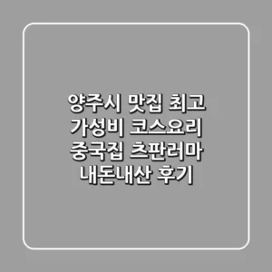 양주시 맛집: 최고 가성비 코스요리 중국집 츠판러마 내돈내산 후기