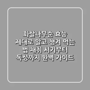 화살나무순 효능 제대로 알고 챙겨 먹는 법: 채취 시기부터 독성까지 완벽 가이드