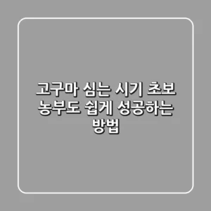 고구마 심는 시기? 초보 농부도 쉽게 성공하는 방법!