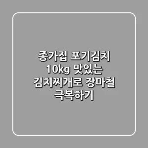 종가집 포기김치 10kg: 맛있는 김치찌개로 장마철 극복하기