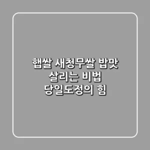 햅쌀 새청무쌀: 밥맛 살리는 비법, 당일도정의 힘!