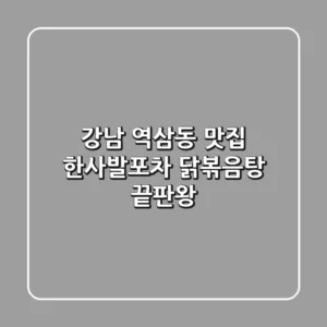 강남 역삼동 맛집 한사발포차: 닭볶음탕 끝판왕!