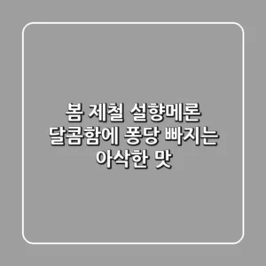 봄 제철 설향메론: 달콤함에 퐁당 빠지는 아삭한 맛!