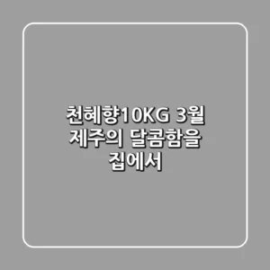 천혜향10KG: 3월, 제주의 달콤함을 집에서!