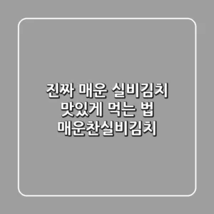 진짜 매운 실비김치, 맛있게 먹는 법! [매운찬실비김치]