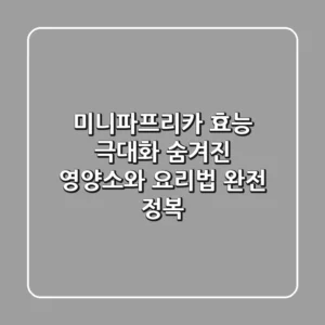 미니파프리카 효능 극대화! 숨겨진 영양소와 요리법 완전 정복