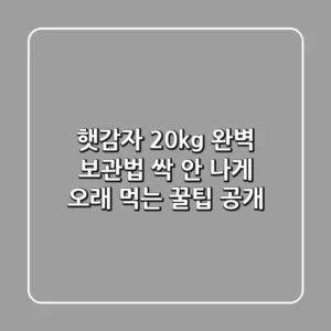 햇감자 20kg 완벽 보관법 & 싹 안 나게 오래 먹는 꿀팁 공개!