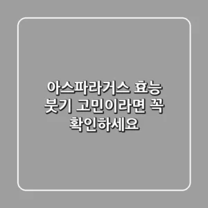 아스파라거스 효능, 붓기 고민이라면 꼭 확인하세요!