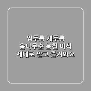 엄두릅, 개두릅, 음나무순? 봄철 미식, 제대로 알고 즐겨봐요!