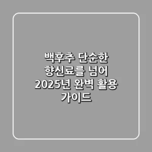 백후추, 단순한 향신료를 넘어: 2025년 완벽 활용 가이드