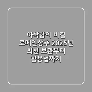 아삭함의 비결: 로메인상추, 2025년 최신 보관부터 활용법까지