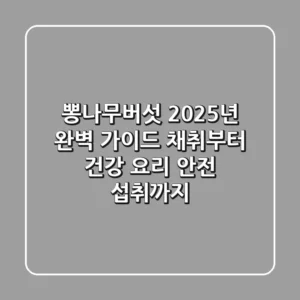 뽕나무버섯, 2025년 완벽 가이드: 채취부터 건강 요리, 안전 섭취까지