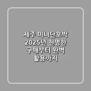제주 미니단호박, 2025년 현명한 구매부터 완벽 활용까지