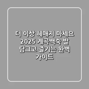 더 이상 헤매지 마세요! 2025 계곡백숙, 발 담그고 즐기는 완벽 가이드