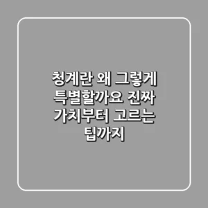 청계란, 왜 그렇게 특별할까요? 진짜 가치부터 고르는 팁까지
