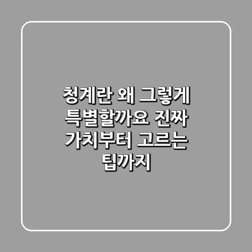 청계란, 왜 그렇게 특별할까요? 진짜 가치부터 고르는 팁까지