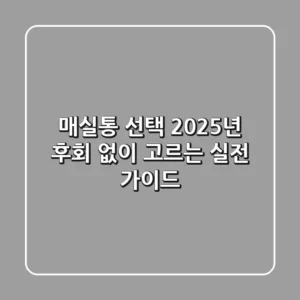매실통 선택, 2025년 후회 없이 고르는 실전 가이드