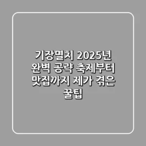 기장멸치, 2025년 완벽 공략! 축제부터 맛집까지 제가 겪은 꿀팁