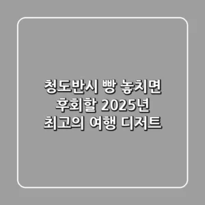 청도반시 빵: 놓치면 후회할 2025년 최고의 여행 디저트