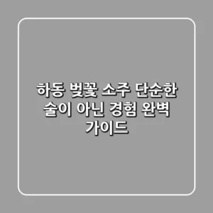 하동 벚꽃 소주, 단순한 술이 아닌 경험! 완벽 가이드