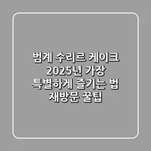 범계 수리르 케이크, 2025년 가장 특별하게 즐기는 법 (재방문 꿀팁)