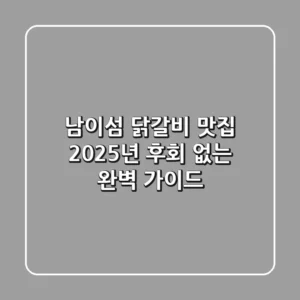 남이섬 닭갈비 맛집, 2025년 후회 없는 완벽 가이드!