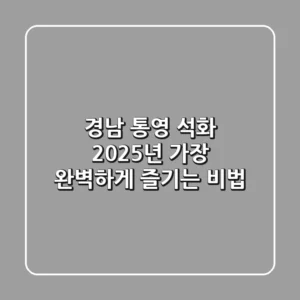 경남 통영 석화, 2025년 가장 완벽하게 즐기는 비법