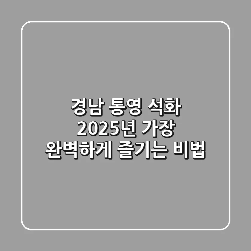 경남 통영 석화, 2025년 가장 완벽하게 즐기는 비법