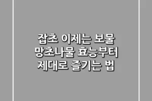 잡초? 이제는 보물! 망초나물 효능부터 제대로 즐기는 법