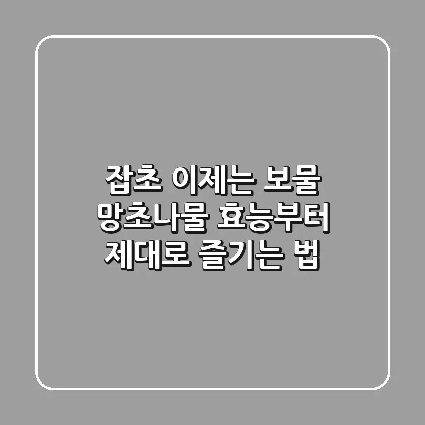 잡초? 이제는 보물! 망초나물 효능부터 제대로 즐기는 법