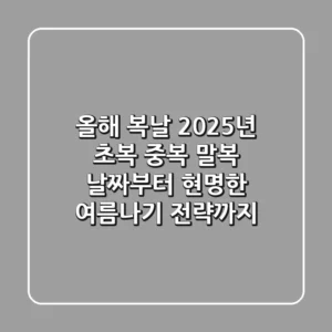 올해 복날, 2025년 초복 중복 말복 날짜부터 현명한 여름나기 전략까지!