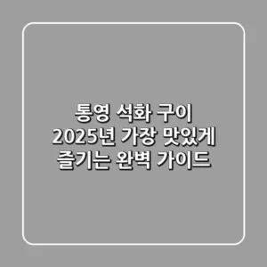 통영 석화 구이, 2025년 가장 맛있게 즐기는 완벽 가이드