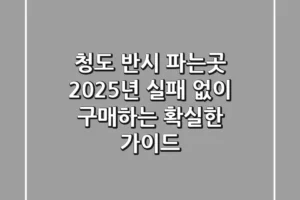 청도 반시 파는곳, 2025년 실패 없이 구매하는 확실한 가이드
