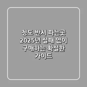 청도 반시 파는곳, 2025년 실패 없이 구매하는 확실한 가이드