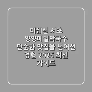 미쉐린 서초 양양메밀막국수, 단순한 맛집을 넘어선 경험! (2025 최신 가이드)