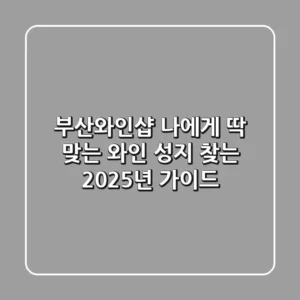 부산와인샵: 나에게 딱 맞는 와인 성지 찾는 2025년 가이드