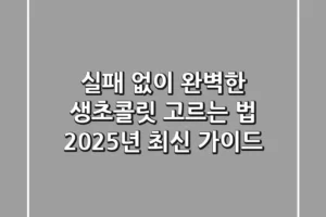 실패 없이 완벽한 생초콜릿 고르는 법: 2025년 최신 가이드