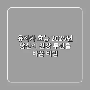 유자차 효능: 2025년 당신의 건강 루틴을 바꿀 비밀