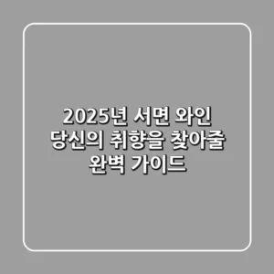 2025년 서면 와인, 당신의 취향을 찾아줄 완벽 가이드