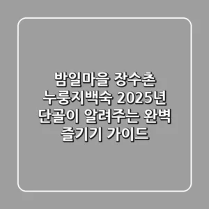 밤일마을 장수촌 누룽지백숙: 2025년 단골이 알려주는 완벽 즐기기 가이드