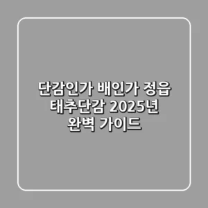단감인가 배인가? 정읍 태추단감, 2025년 완벽 가이드