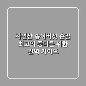 자연산 송이버섯 손질, 최고의 풍미를 위한 완벽 가이드