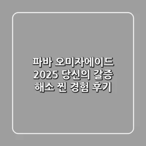 파바 오미자에이드, 2025 당신의 갈증 해소 찐 경험 후기