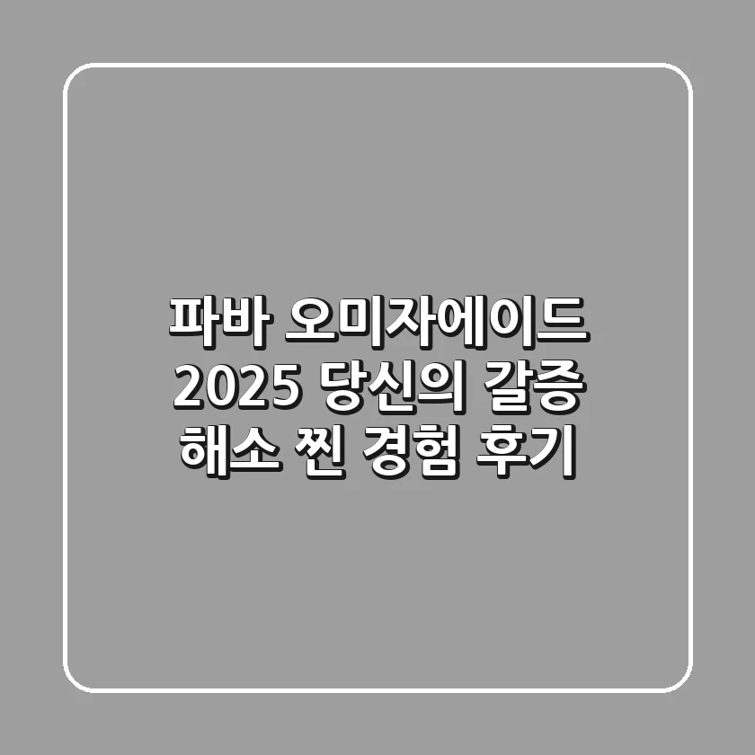 파바 오미자에이드, 2025 당신의 갈증 해소 찐 경험 후기