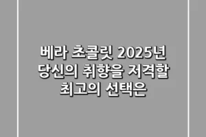베라 초콜릿, 2025년 당신의 취향을 저격할 최고의 선택은?