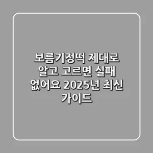 보름기정떡, 제대로 알고 고르면 실패 없어요 (2025년 최신 가이드)